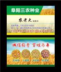 三农种业名片