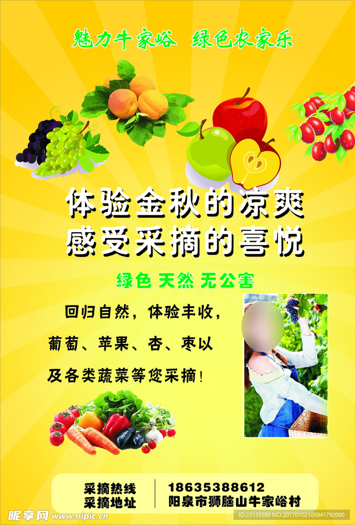 采摘彩页