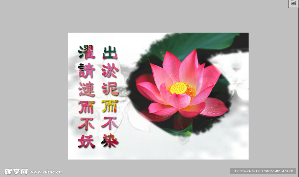 荷花图