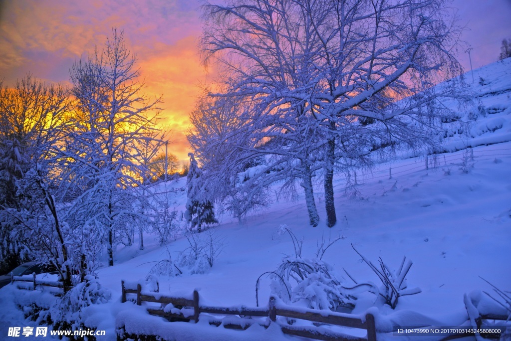 夕阳雪景