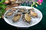 大连鲍鱼