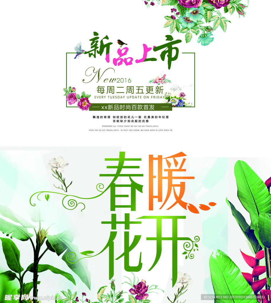 新品上市 新品促销