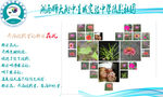 摄影社团图片展示