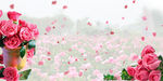 玫瑰花底图