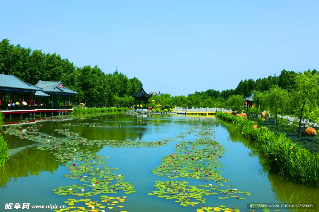 湖水
