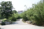 公园