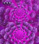 紫色唯美花朵大绣球放花高清视频