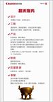 公司文化