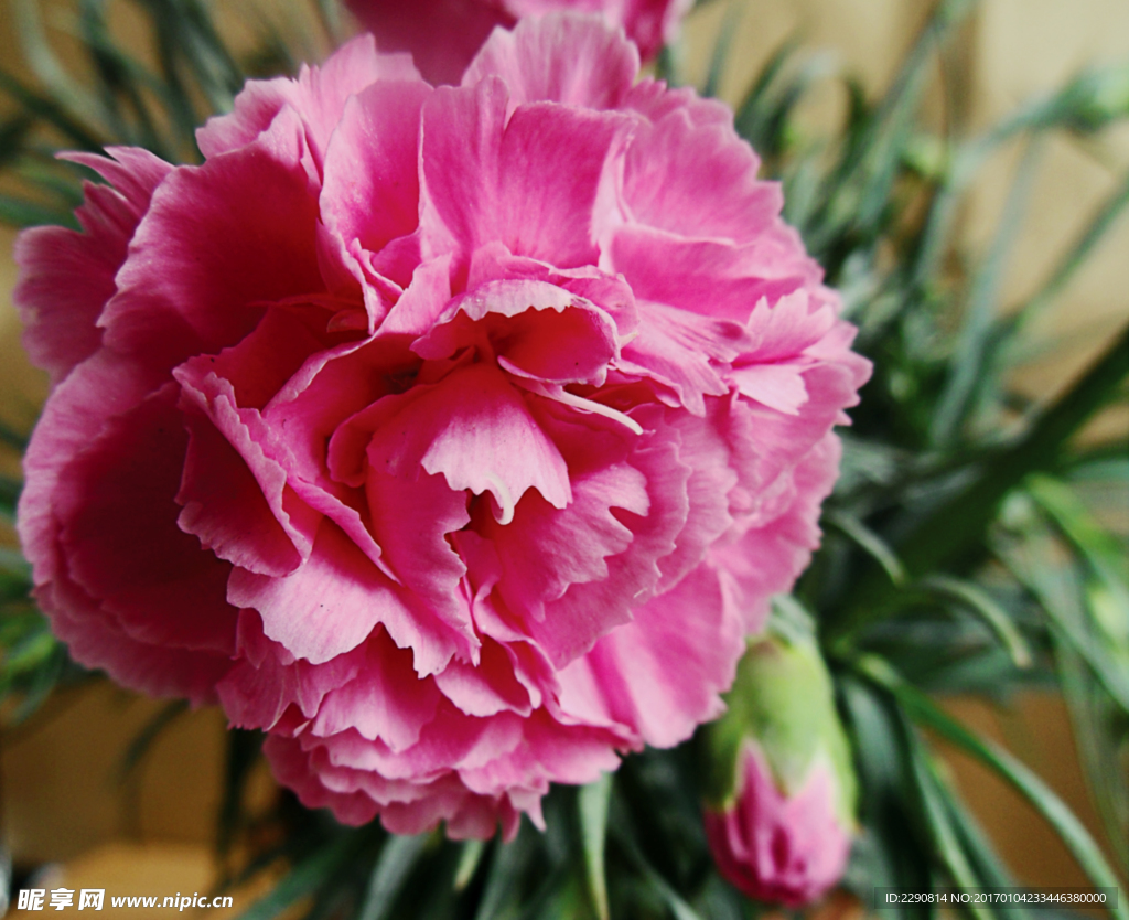 花
