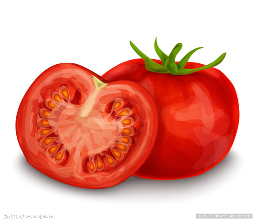 手绘水彩番茄西红柿