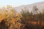 日出山顶风景