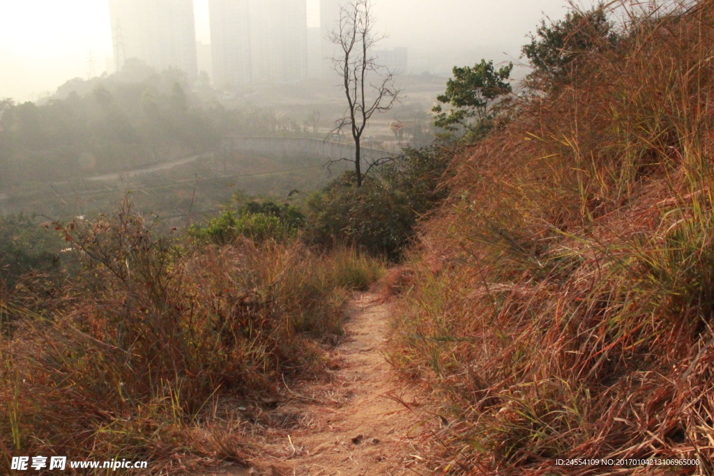 山间小路