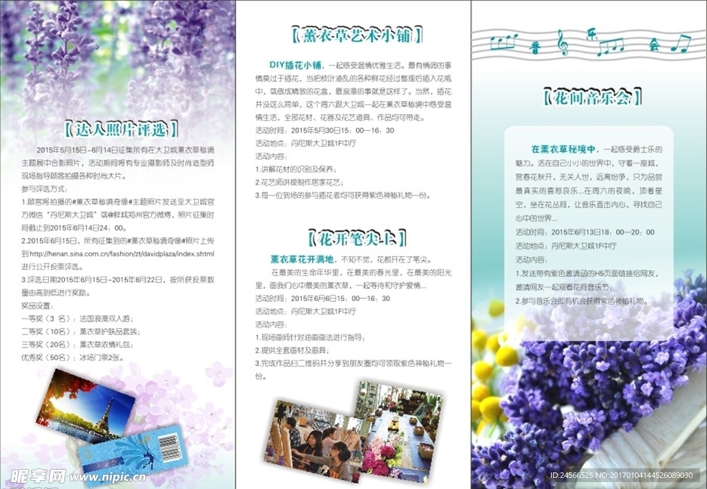 薰衣草折页