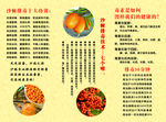 沙棘