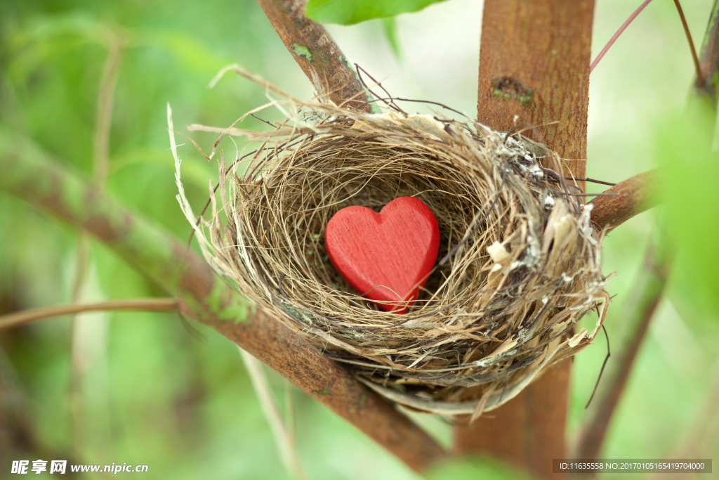 创意心形高清图片