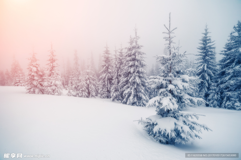 冬天雪景高清图片