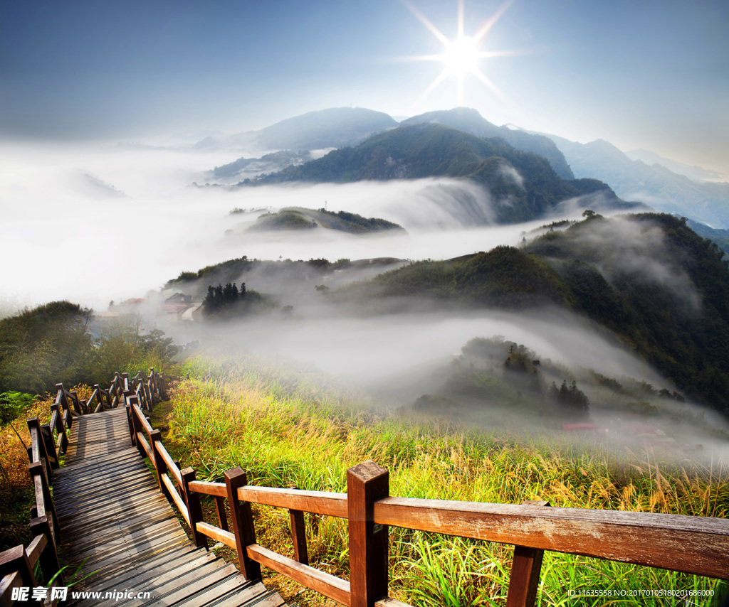 风景风光