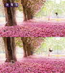 樱花林花飘杨蝶飞舞梦幻背景视频