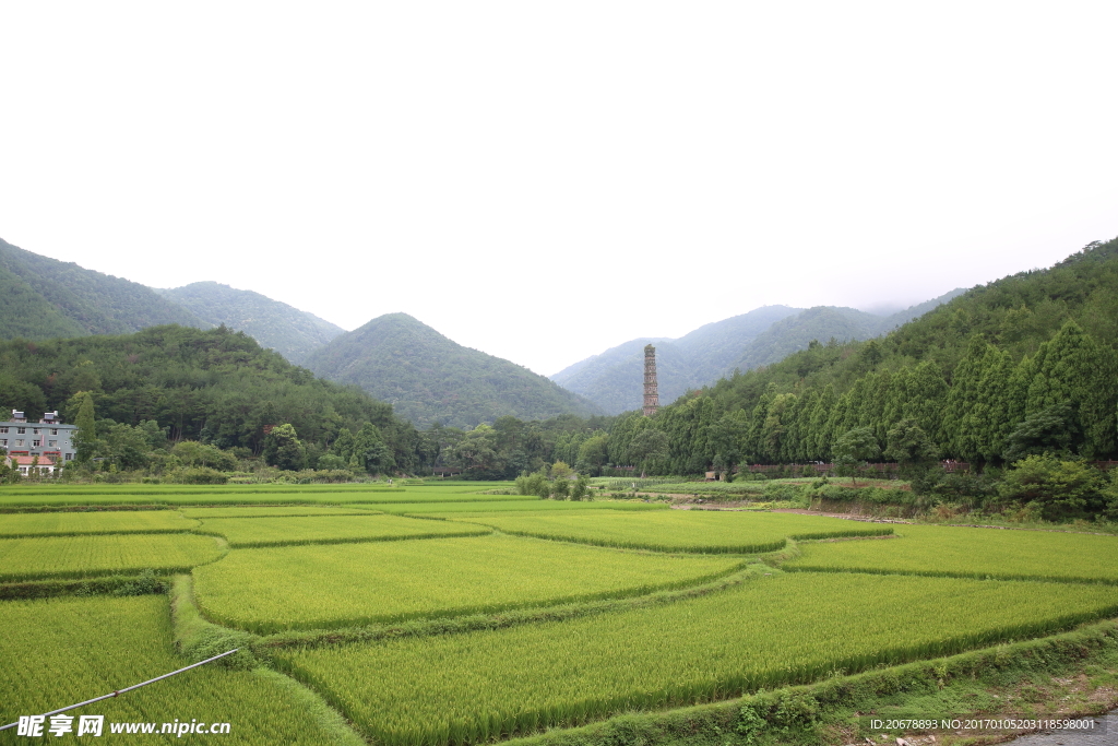 田园