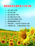 好习惯