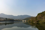 半山森林公园