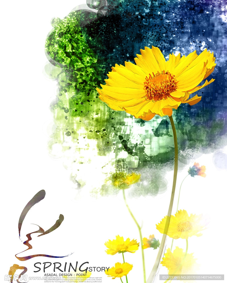黄色菊花