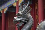 龙