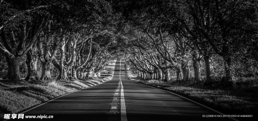 公路
