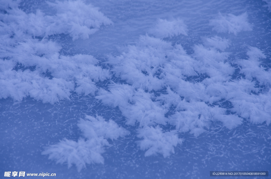 雪