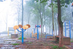 雨天公园树木锻炼场地