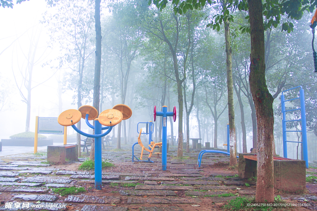 雨天公园树木锻炼场地