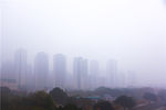雾霾雨天江边城市公园