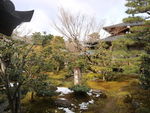 岚山大堰川