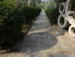 校园小道
