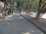 校园小路