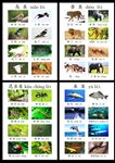 儿童识别图