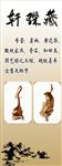 轩琛藏