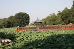 圆明园