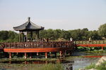 圆明园