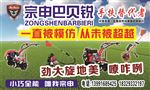 宗申巴贝锐门头
