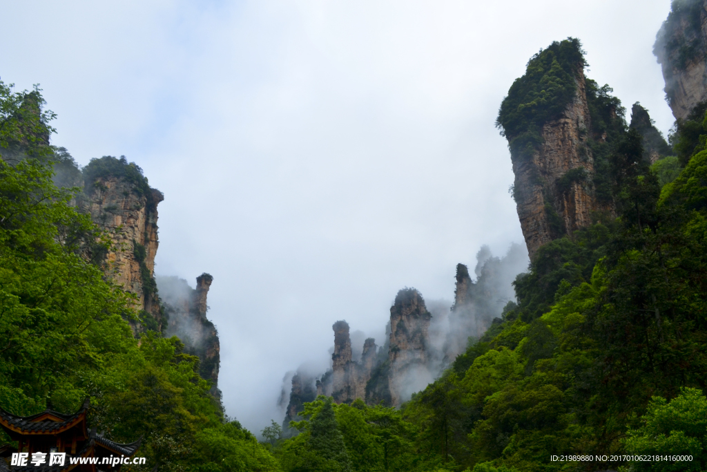 张家界大峡谷