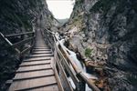 山道 台阶