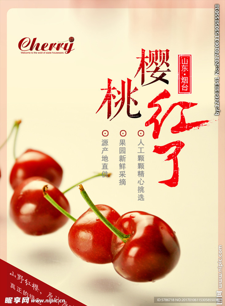 樱桃