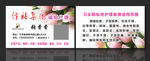 汴禧集团名片D女郎名片
