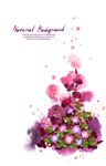 艳丽粉色牵牛花