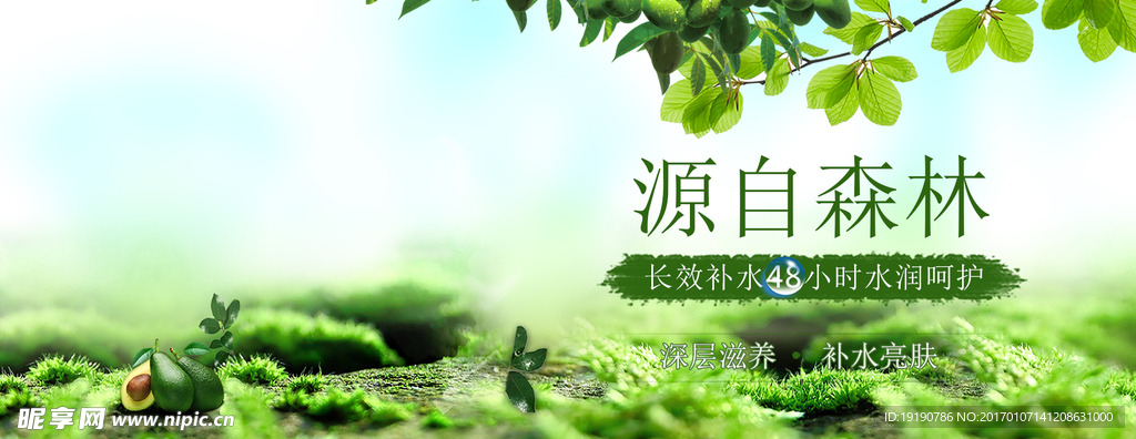 面膜背景  绿色  深林