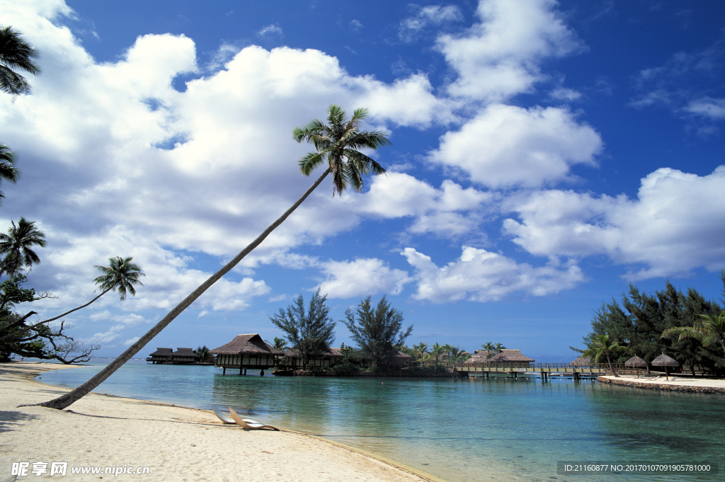 天空海滩椰树背景