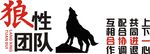团队