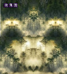 特效云雾缭绕的松树林高清视频