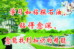 学习